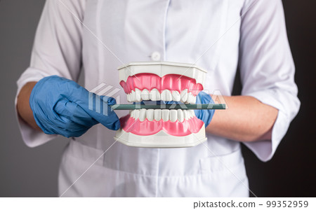 Teeth occlusion concept. Odontology, orthodontics care 99352959