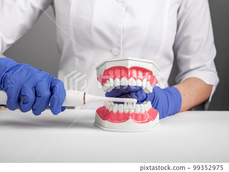 Dentist showing how to use electric toothbrush on fake jaw teeth model. Tooth care, treatment, oral hygiene with brush 99352975