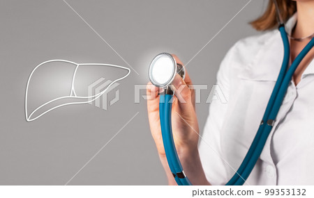 Liver, inner organ disease, health. Medical checkup concept Liver, inner organ disease, health. Medical checkup concept 99353132