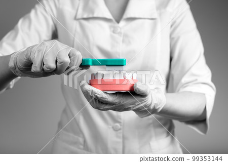 Dentist brushing teeth in jaw model. Doctor in lab coat and gloves showing dental cleaning. Stomatology, oral hygiene concept. Dental and gum diseases prevention. 99353144