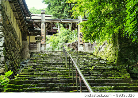 Fresh green Chomeiji Temple 99353326