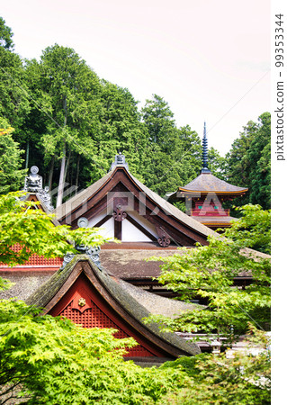 Fresh green Chomeiji Temple 99353344