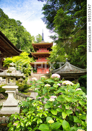 鮮綠的長明寺 鮮綠的長明寺 99353347