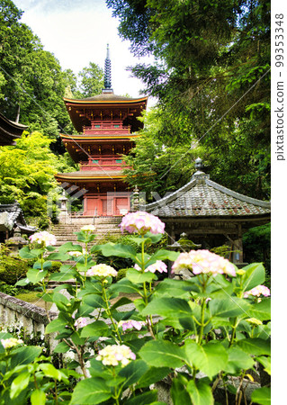 鮮綠的長明寺 鮮綠的長明寺 99353348