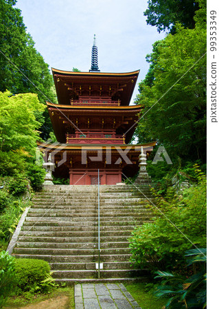 鮮綠的長明寺 99353349