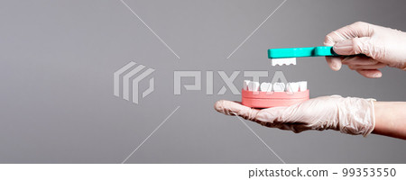 Banner with hands in gloves with toothbrush and jaw model. Professional tooth whitening. Dentist showing dental cleaning. Stomatology, oral hygiene concept. Copy space 99353550