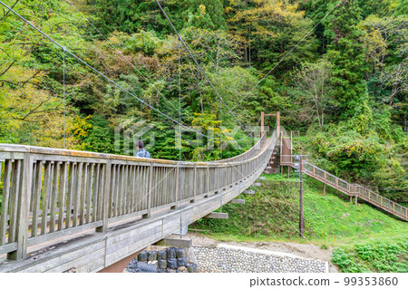 一個男人停在山中的吊橋中間 99353860