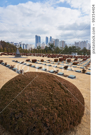 United Nations Memorial Cemetery in Busan South Korea United Nations Memorial Cemetery in Busan South Korea 99354404