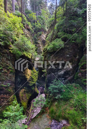 View of the crack between the rocks in the mountains. The background of nature. View of the crack between the rocks in the mountains. The background of nature. 99355408