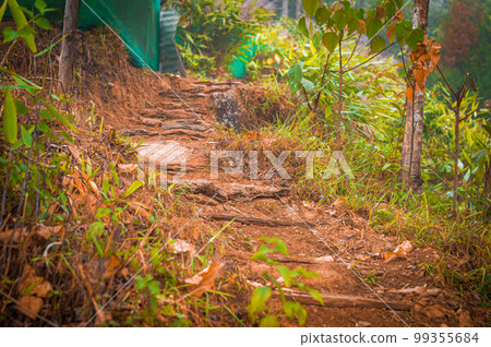 A narrow path leading uphill on a mountain A narrow path leading uphill on a mountain 99355684