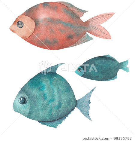 Set of marine Tropical fish. Watercolor illustration. Set of marine Tropical fish. Watercolor illustration. 99355792