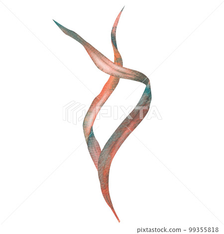 Set of algae, underwater plants in turquoise, hand-drawn watercolor illustration. 99355818