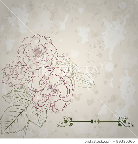 Background with bouquet of roses 99356360