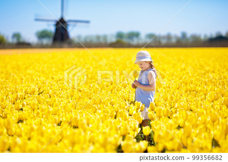 Kids in tulip flower field. Windmill in Holland Kids in tulip flower field. Windmill in Holland 99356682
