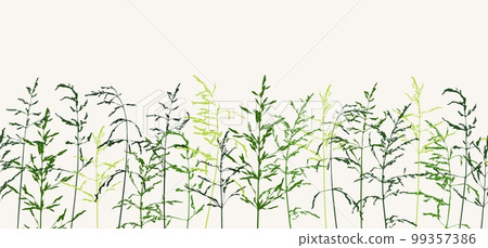 Seamless horizontal border with green thin silhouettes of dry wild herbs Seamless horizontal border with green thin silhouettes of dry wild herbs 99357386