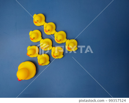 A group of ducks and their chicks are on a blue background. A group of ducks and their chicks are on a blue background. 99357524