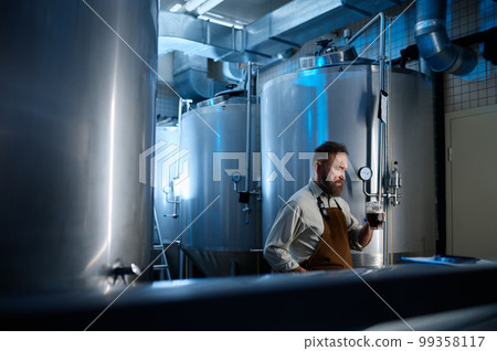 Brewery factory owner examining quality of craft beer 99358117