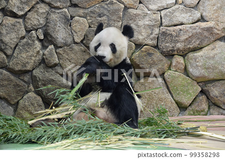 愛美吃竹子好吃 99358298