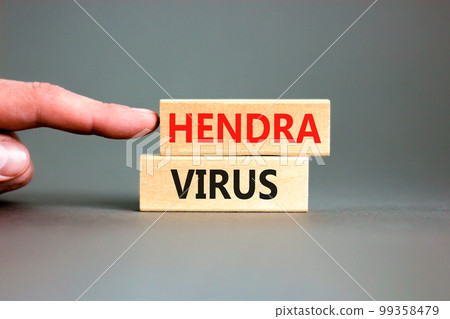 Hendra virus symbol. Concept words Hendra virus on wooden block. Beautiful grey table grey background. Doctor hand. Medical hendra virus concept. Copy space. 99358479