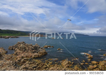 Cape 99358650