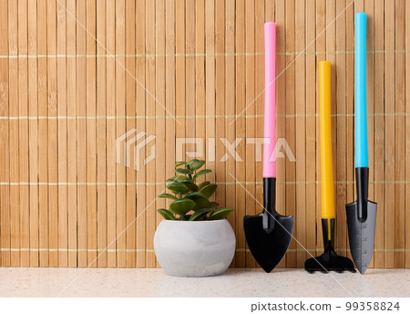 Miniature garden tools for transplanting plants, home hobby Miniature garden tools for transplanting plants, home hobby 99358824
