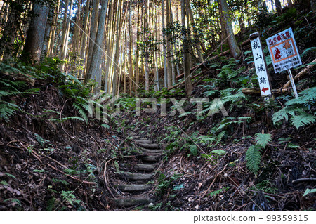 Nara Udamatsuyama Castle Trail (From Kasuga Monzeki) Nara Udamatsuyama Castle Trail (From Kasuga Monzeki) 99359315