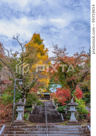 Shizuoka Prefecture Izunokuni City Honryuji Temple Autumn Gingko Shizuoka Prefecture Izunokuni City Honryuji Temple Autumn Gingko 99359654