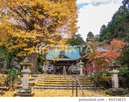 Shizuoka Prefecture Izunokuni City Honryuji Temple Autumn Gingko Shizuoka Prefecture Izunokuni City Honryuji Temple Autumn Gingko 99359655