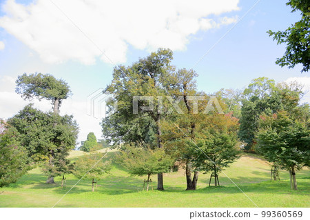 清爽的秋季公園彩色樹木 清爽的秋季公園彩色樹木 99360569