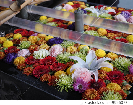 Fukagawa Fudodo Hananemizu 99360721