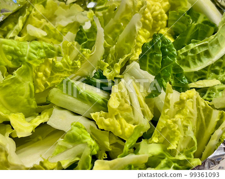 lettuce lettuce 99361093