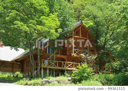 Log house in the forest Log house in the forest 99361515