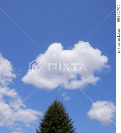 三角樹冠和藍天白雲 三角樹冠和藍天白雲 99361703