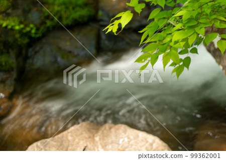 新鮮的綠色清澈的溪流 新鮮的綠色清澈的溪流 99362001