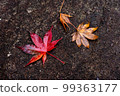 秋葉葉子上色了紅色 99363177