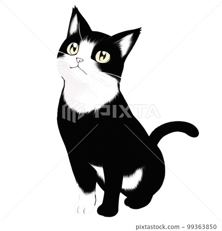 黑白貓 99363850