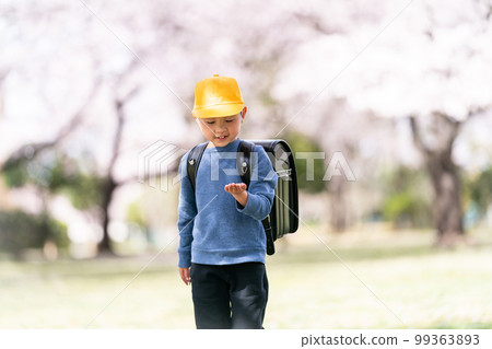 elementary student, primary school child, primary school student 99363893