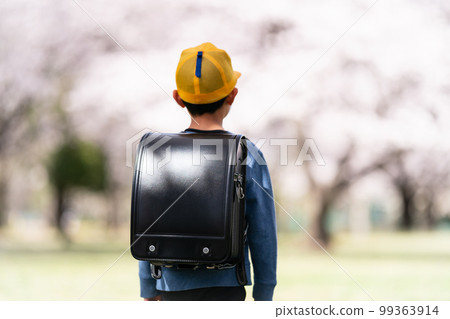 elementary student, primary school child, primary school student 99363914