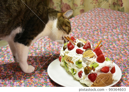 Handmade cake of cat, strawberry and kiwi 99364603