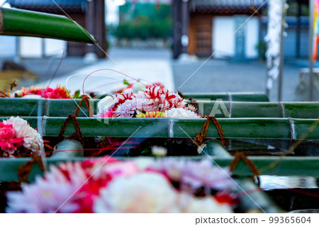 Usagi Temple Kosanji Temple 四國朝聖第74次Fudasho Usagi Temple Kosanji Temple 四國朝聖第74次Fudasho 99365604