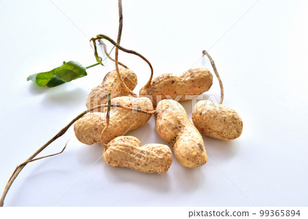 帶殼花生，花生，花生，花生 99365894