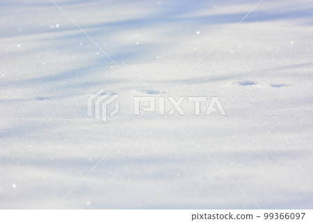 雪地 雪地 99366097