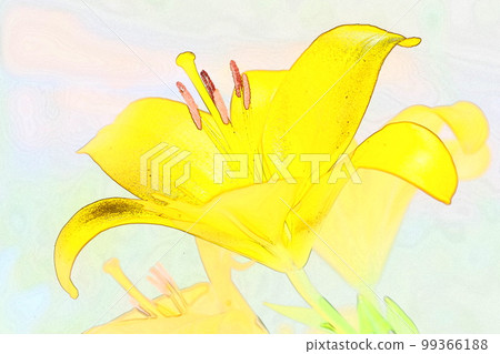 特寫插圖雄蕊雌蕊百合 4 99366188