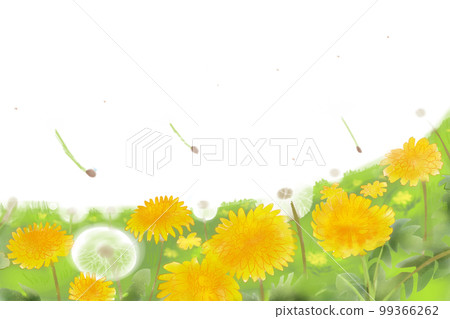 dandelion and fluff 2 99366262