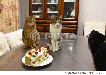 Handmade cake of cat, strawberry and kiwi Handmade cake of cat, strawberry and kiwi 99366339