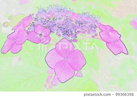 Illustration Hydrangea 11 that suits the seasonal rain of the rainy season Illustration Hydrangea 11 that suits the seasonal rain of the rainy season 99366398