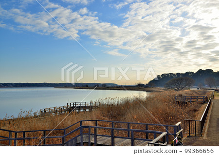 Landscape of the blue sky of Lake Teganuma, Chiba Prefecture Landscape of the blue sky of Lake Teganuma, Chiba Prefecture 99366656