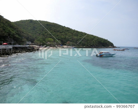 泰國芭堤雅蘭島的海灘 99366707