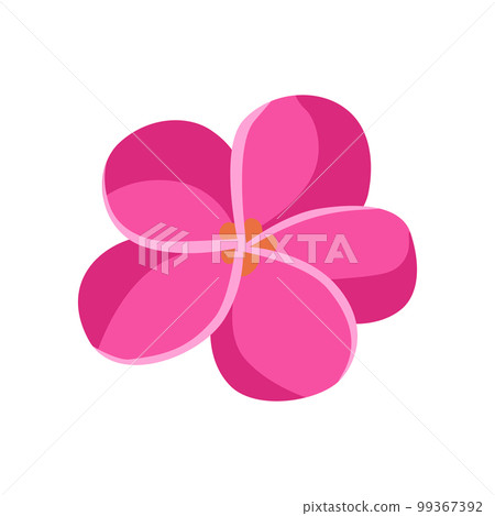 Plumeria flower icon 99367392