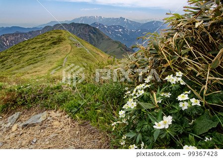 Mt.Makikiyama with remaining snow on the Tanigawa mountain range and the ridgeline of Mt. Mogura 99367428